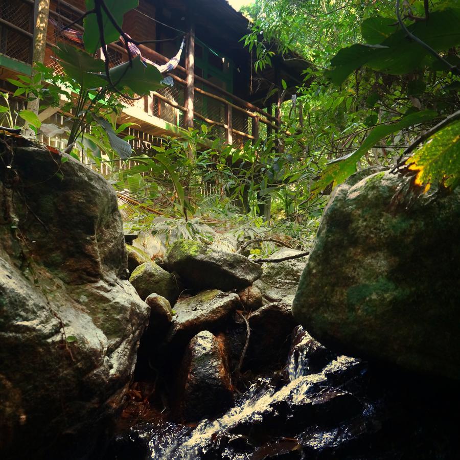 Sitio Dos Tucanos Guest house Florianopolis