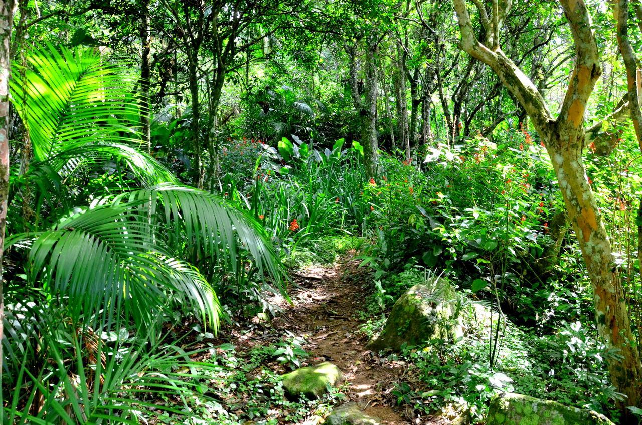 Sitio Dos Tucanos